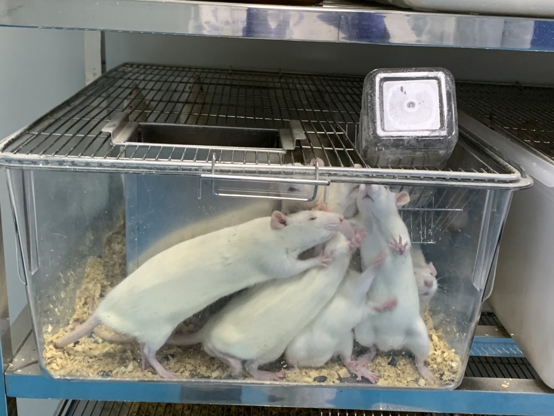 j9九游会生物 j9九游会生物